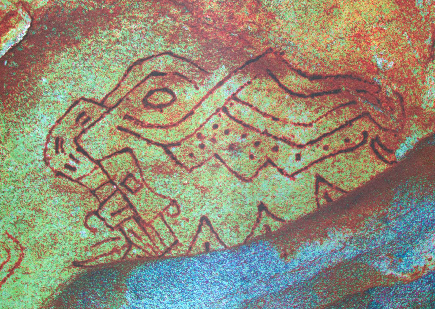 Exposición: Imágenes de un territorio dibujado