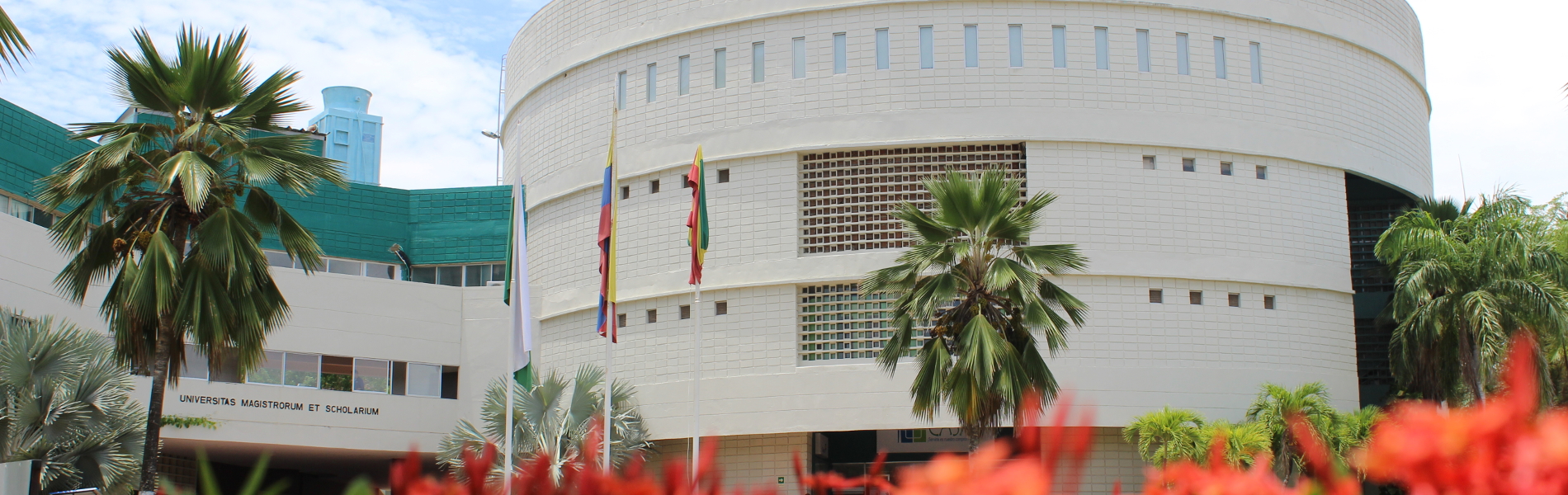 Tensiones y diálogos entre memoria y verdad María Emma Wills