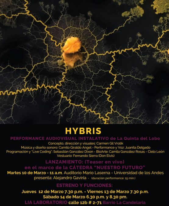 Lanzamiento Hybris en el marco de la cátedra “Nuestro futuro”