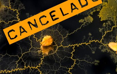 Hybris: Performance audiovisual instalativo de la Quinta del Lobo