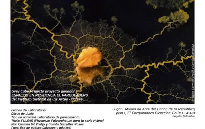 Laboratorio de pensamiento: Híbridos (Arte y Ciencia) Por Carmen Gil Vrolijk  y Camila González Rosas