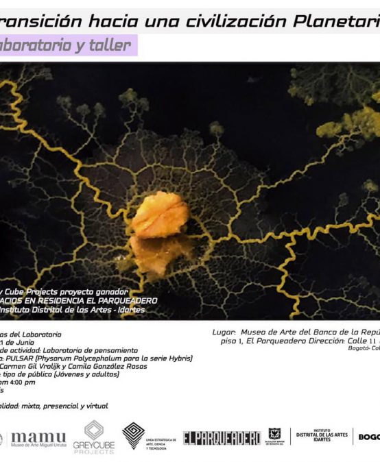 Laboratorio de pensamiento: Híbridos (Arte y Ciencia) Por Carmen Gil Vrolijk  y Camila González Rosas