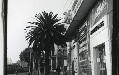 La inquietud del ver – Beatriz Grau en la galería Elvira Moreno